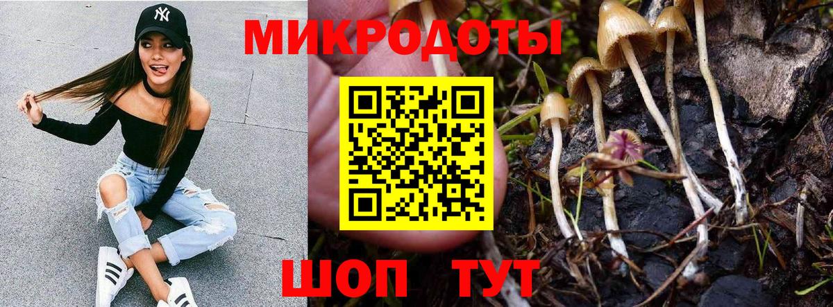 Псилоцибиновые грибы Psilocybine cubensis  купить наркотики цена  Реж  Галлюциногенные грибы Cubensis  Вход с VPN 